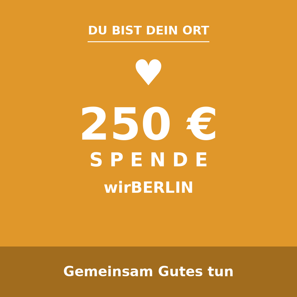 250 Euro Spende an wirBERLIN