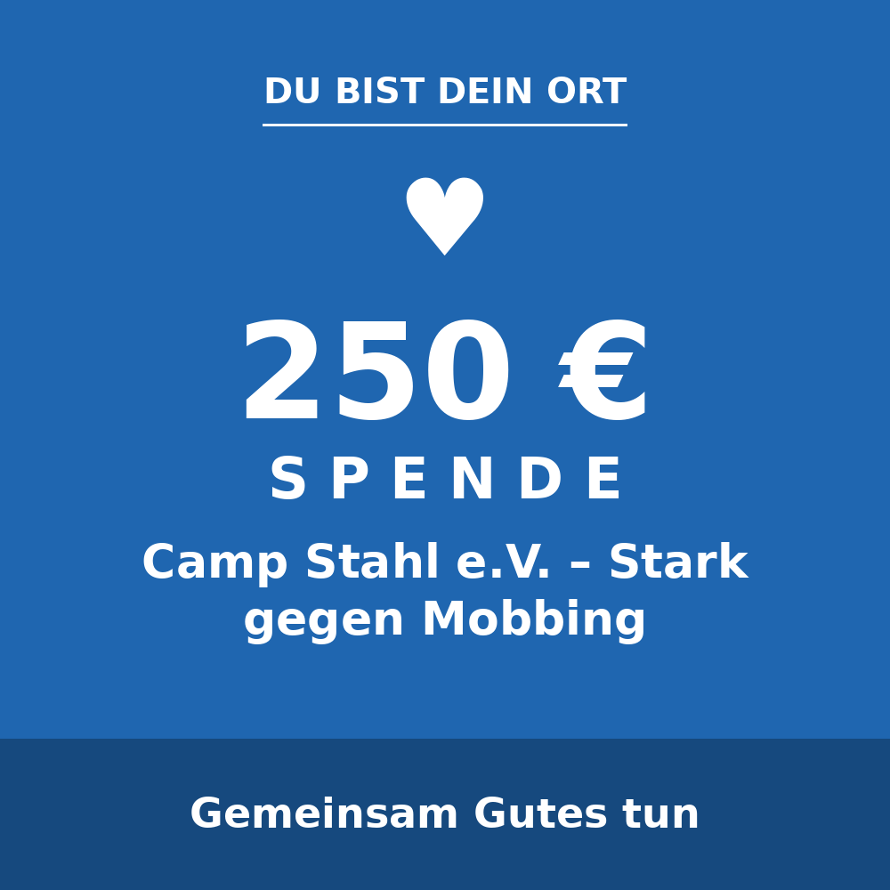 250 Euro Spende an Camp Stahl e.V. gegen Mobbing